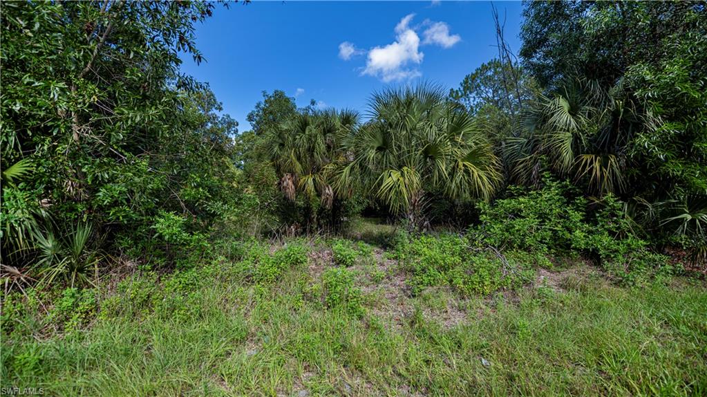 LEHIGH ACRES - Land