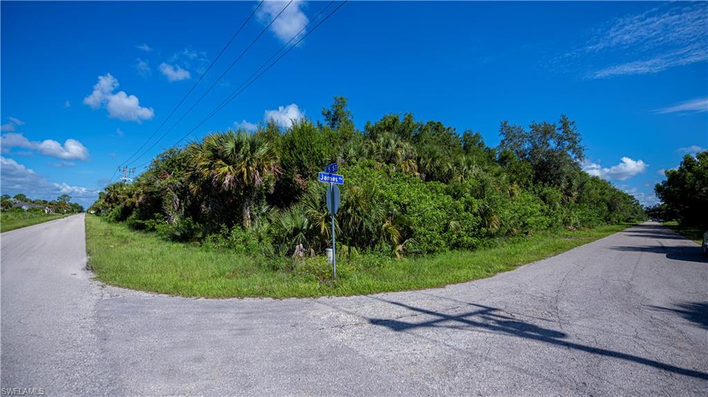 LEHIGH ACRES - Land