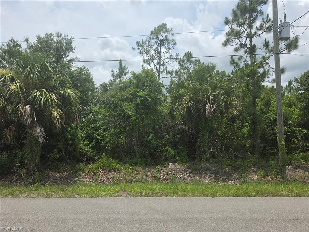 Build your dream estate on this exceptional 2.73-acre residential lot in the desirable Naples, Florida area. No endangered species, no flood zone, mostly upland built without the need for impact or mitigation. Report available upon request. Offering the perfect combination of privacy, space, and convenience, this expansive property is situated on a paved road with power available, making it an outstanding opportunity for your custom home or future investment. Surrounded by the natural beauty of Southwest Florida, you'll enjoy a peaceful setting while remaining within easy reach of Naples' world-renowned Gulf beaches, championship golf courses, shopping, dining, parks, and top-rated schools. Whether you're looking to build a private family estate, create a luxury retreat, or secure acreage in one of Florida's most sought-after locations, this 2.73-acre parcel offers endless possibilities. Don't miss this rare opportunity to own a spacious homesite in the growing Naples area with the ideal blend of tranquility, accessibility, and long-term value.