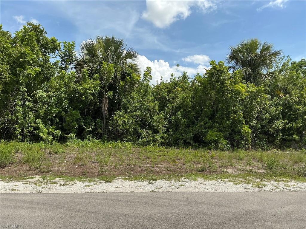 LEHIGH ACRES - Land