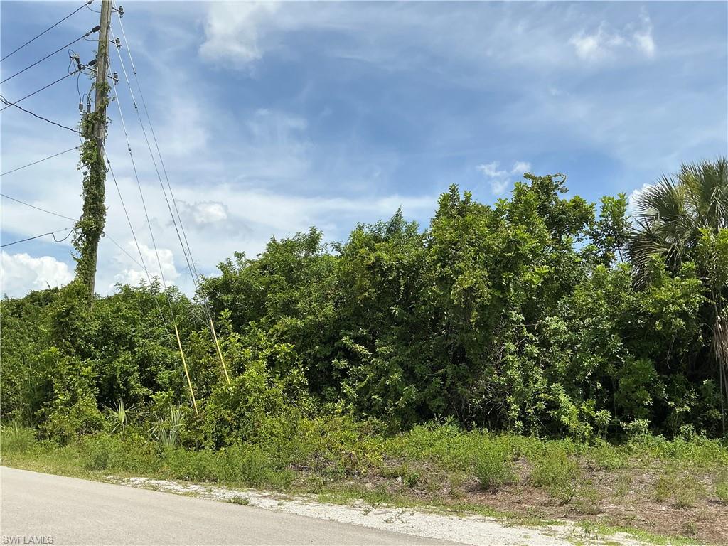 LEHIGH ACRES - Land