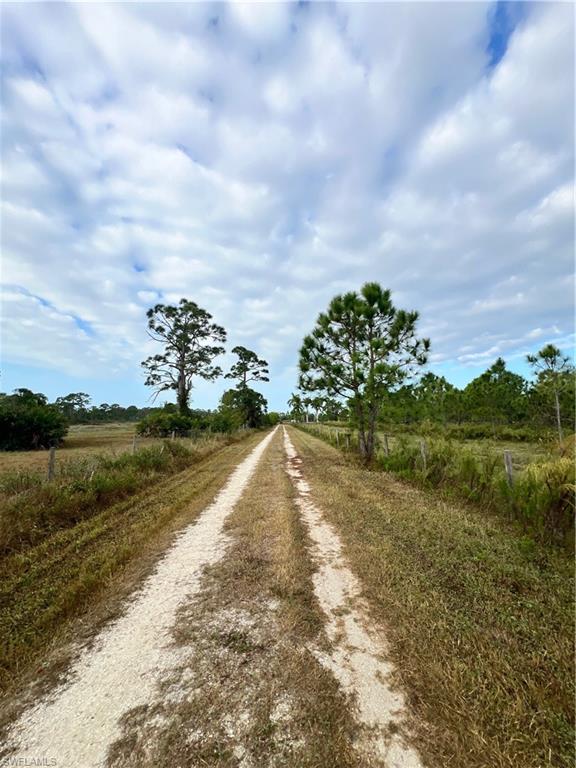 ACREAGE - Residential