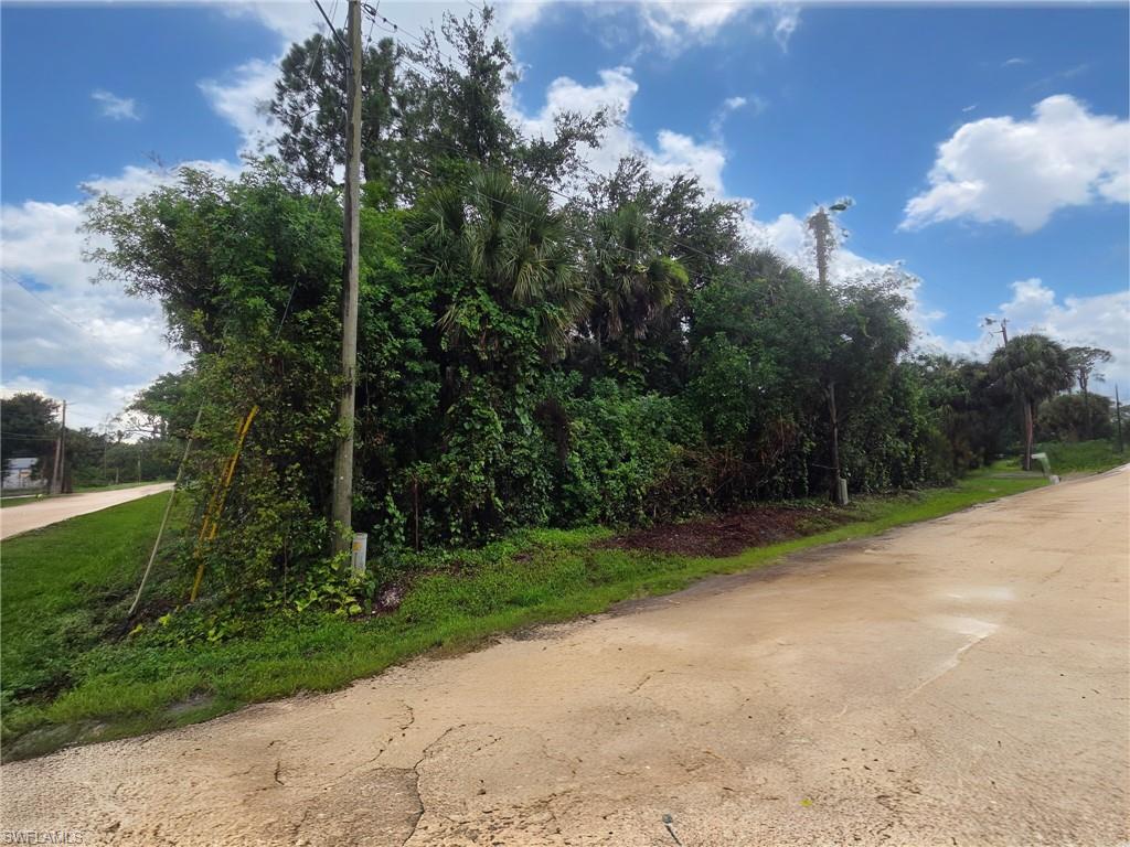 PALMONA PARK - Land