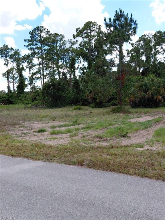 Build your future on this prime residential lot located at 452 Norwood Ave S in the growing community of Lehigh Acres. Whether you're planning to construct your dream home or secure a valuable investment property, this vacant lot offers the perfect opportunity to capitalize on one of Southwest Florida’s expanding markets. Surrounded by newer homes and ongoing development, the property provides ample space to design a custom residence complete with a pool, outdoor living area, or oversized garage to fit your lifestyle.

Ideally situated with convenient access to State Road 82, this location offers an easy commute to Fort Myers, Southwest Florida International Airport (RSW), and the region’s top shopping, dining, and entertainment destinations. Nearby parks, golf courses, schools, and recreational amenities add to the appeal, while the continued growth throughout Lehigh Acres makes this an attractive opportunity for homeowners, builders, and investors alike. With no required timeline to build, you have the flexibility to create your vision now or hold for future appreciation in one of Southwest Florida’s most promising areas.