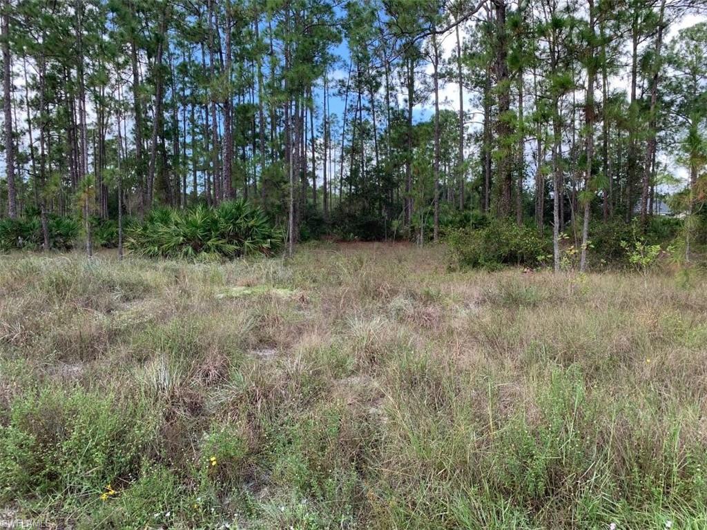 LEHIGH ACRES - Land