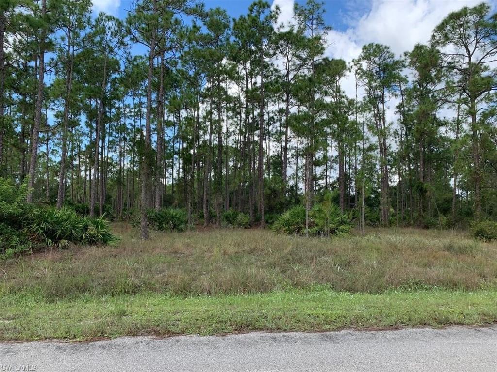 LEHIGH ACRES - Land