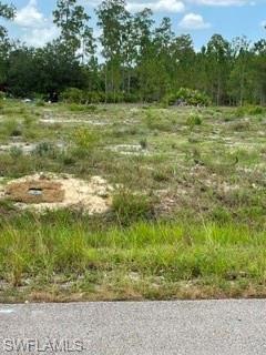 LEHIGH ACRES - Land