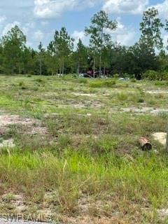 LEHIGH ACRES - Land