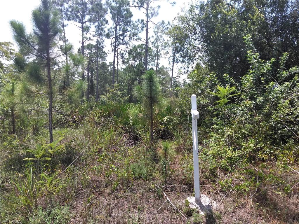 LEHIGH ACRES - Land