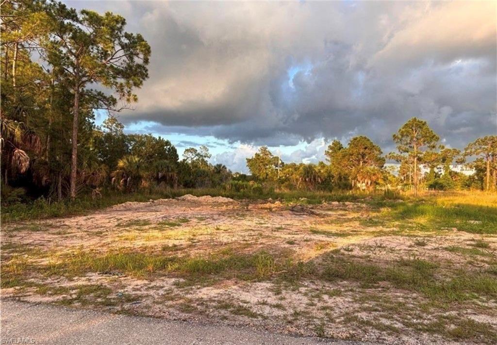 LEHIGH ACRES - Land