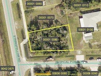 PINE ISLAND TROPICAL HOMESITES - Land