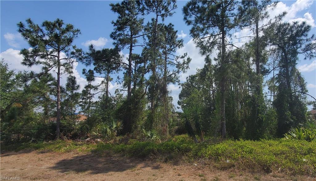 This nicely located .25 (quarter) acre lot is literally about 3 minutes from State Rd 82 and about 7 minutes from Sunshine Blvd.  It is located close enough to area shopping and entertainment, yet far enough to be away from the noise, hustle and bustle of city life.  The surrounding community is friendly and inviting.  So, build your version of a home that expresses your taste and needs on this residential lot and begin your journey enjoying life in Southwest Florida.