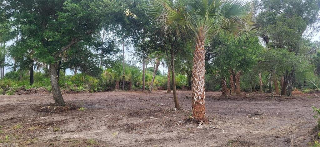 BANYAN VILLAGE - Land