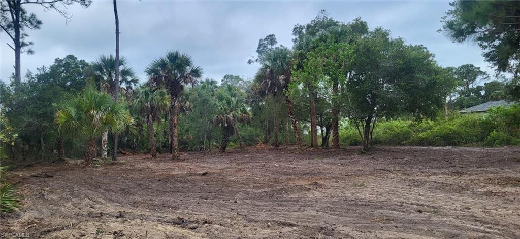 BANYAN VILLAGE - Land