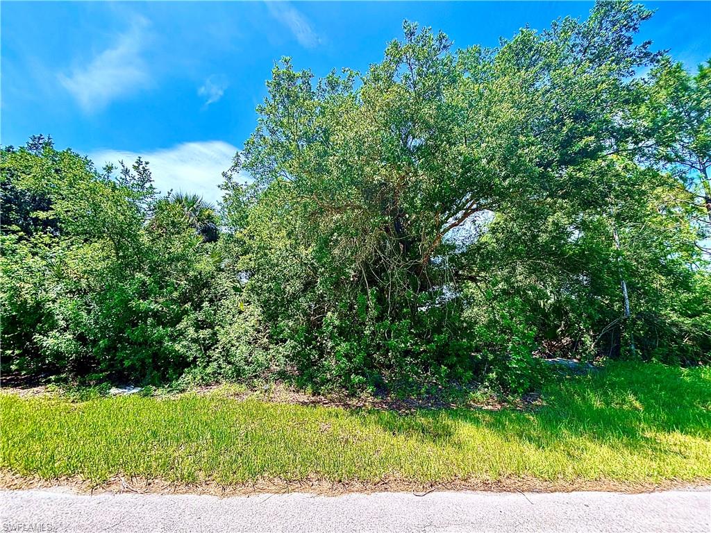 LEHIGH ACRES - Land