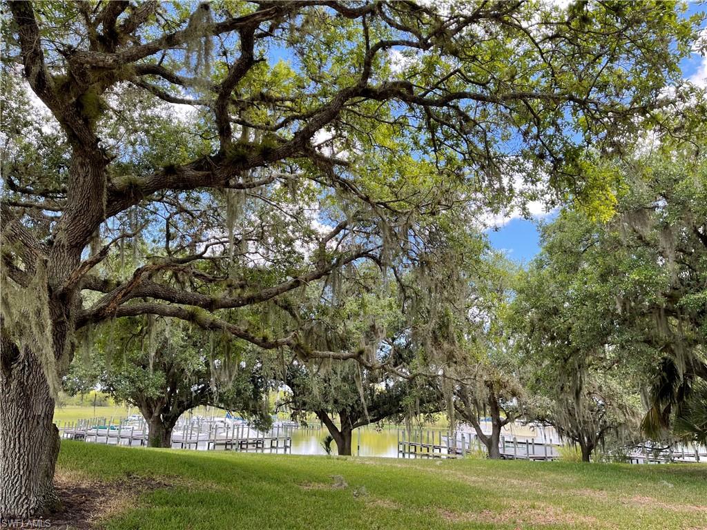 LAUREL OAKS - Residential