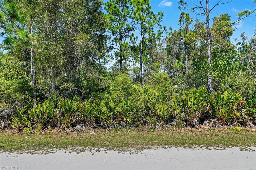 Beautiful lot in Tropical Acres ready to build your dream home. No flood insurance required and no HOA or deed restrictions. No scrub jays per the Charlotte County website 1/13/22. Check again during the due diligence period to make sure nothing has changed. Located close to Tamiami and I-75. Punta Gorda boast a historic section with shopping and restaurants right on the Peace River. You will see many new construction homes going up in this fast-growing area. A great investment property to add to your portfolio or to build your dream home.