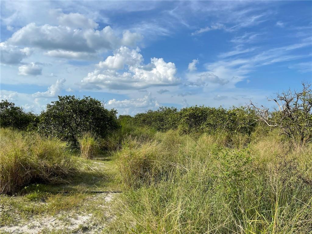GERBER GROVES SEC 1 - Land