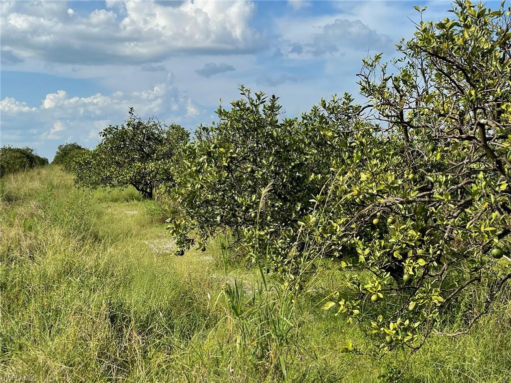 GERBER GROVES SEC 1 - Land