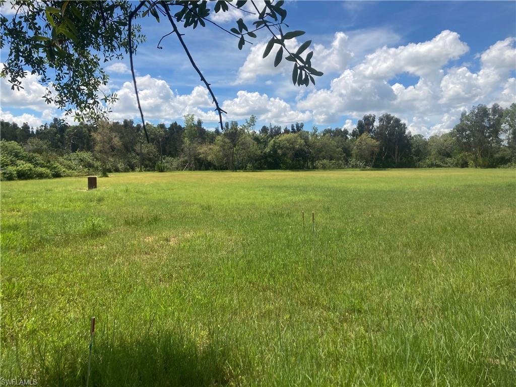 5 Acres Vacant Land across from babcock ranch . 1 large home site that allows equestrian, farms, out buildings, & more. Land is becoming more rare every day
Make appointment please! 
DEP Exemption Letter Received 
Ready to build