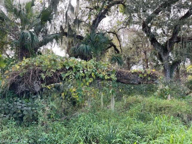 OLD FORT DENAUD - Land