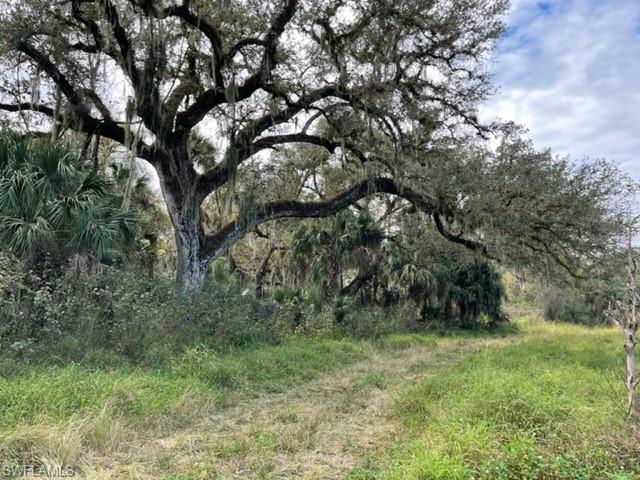 OLD FORT DENAUD - Land