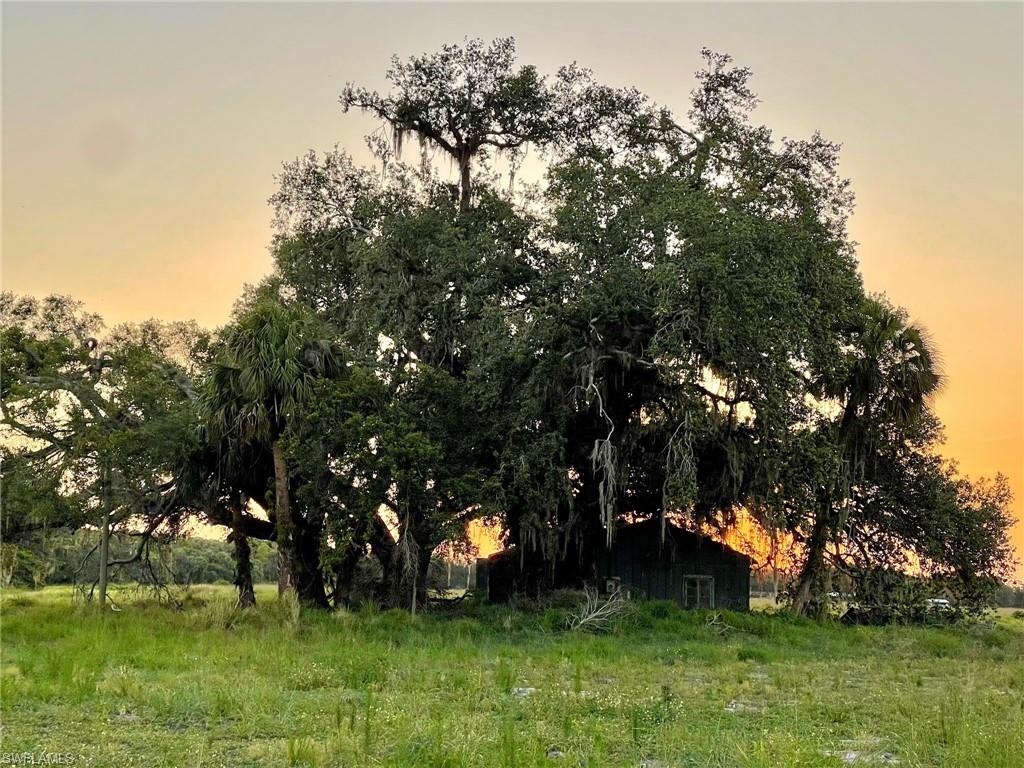 OLD FORT DENAUD - Land