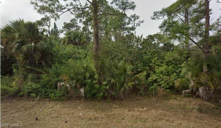 VERY AFFORDABLE LOT!! . Beautifully Area...Nice oversized .50 acre overlookig a nice canal..  high and dry lot. Paved road and new homes in the surrounding areas. No HOA, No flood zone. Build now or later, Great investment as well. Southwest Florida has so much to do, Beaches, Spring Training Baseball, Theme Parks and year round beautiful weather! Make this lot yours while you can.