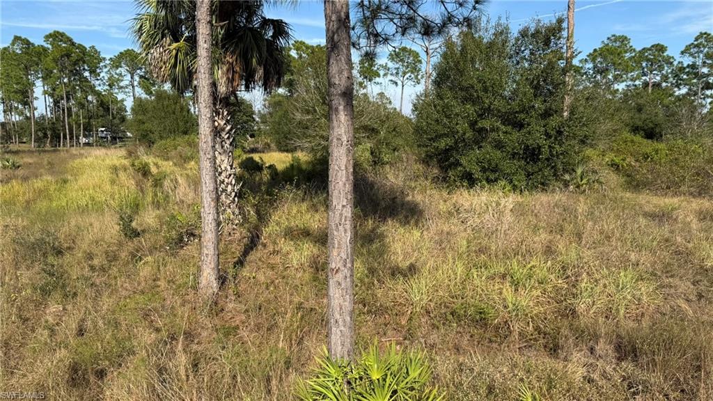 PIONEER PLANTATION - Land