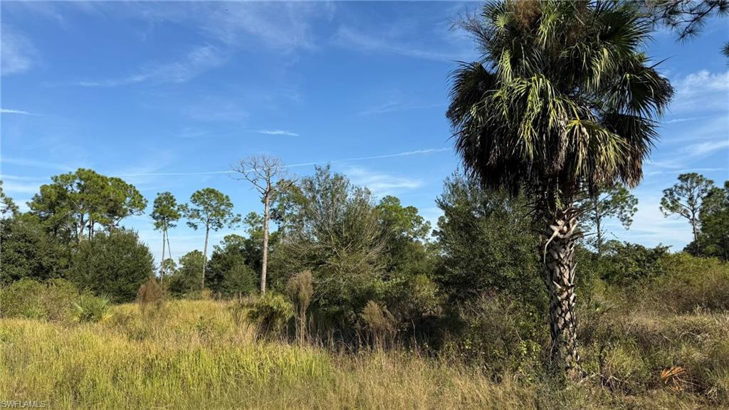 PIONEER PLANTATION - Land