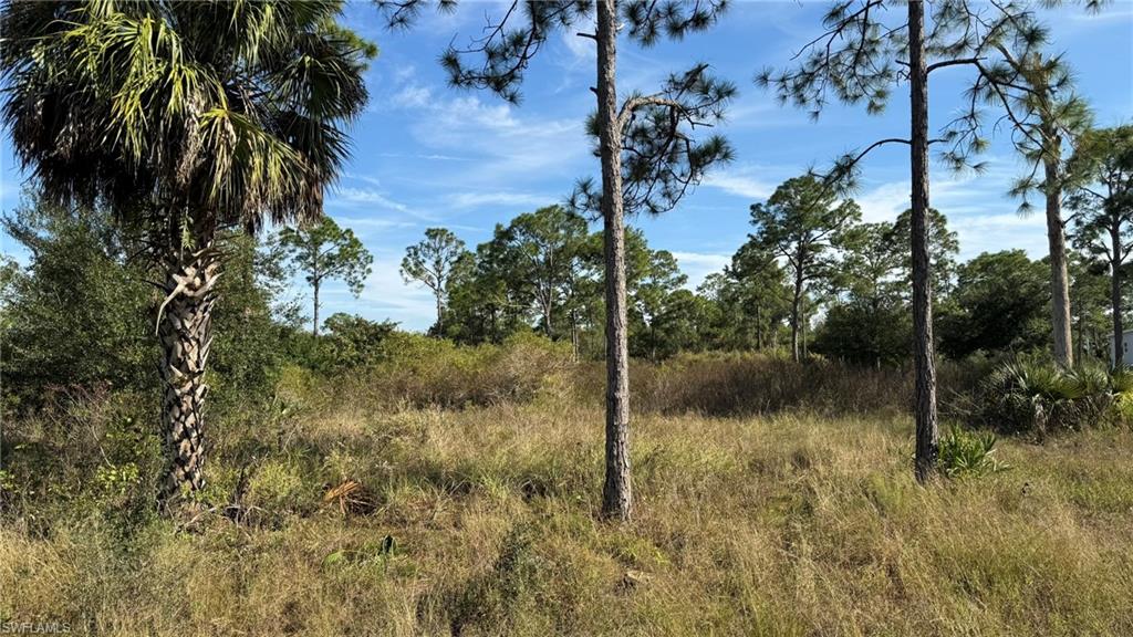 PIONEER PLANTATION - Land