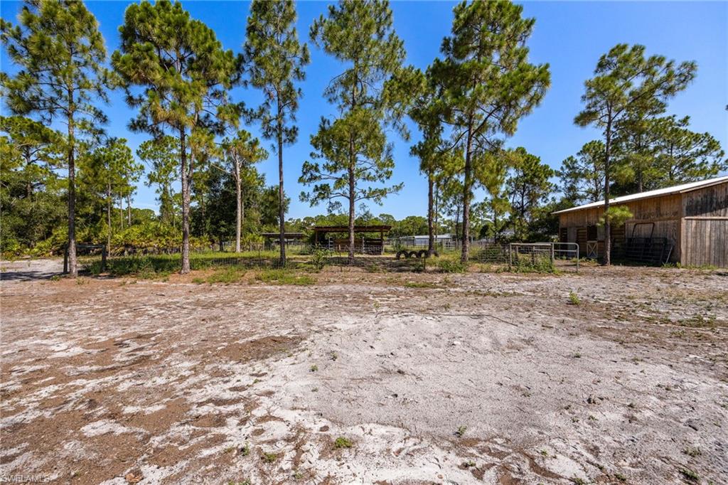 BUCKINGHAM PARK - Residential
