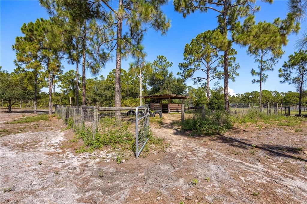 BUCKINGHAM PARK - Residential