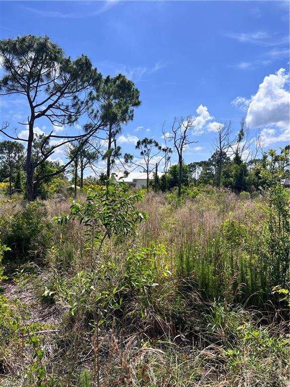 PINE ISLAND - Land