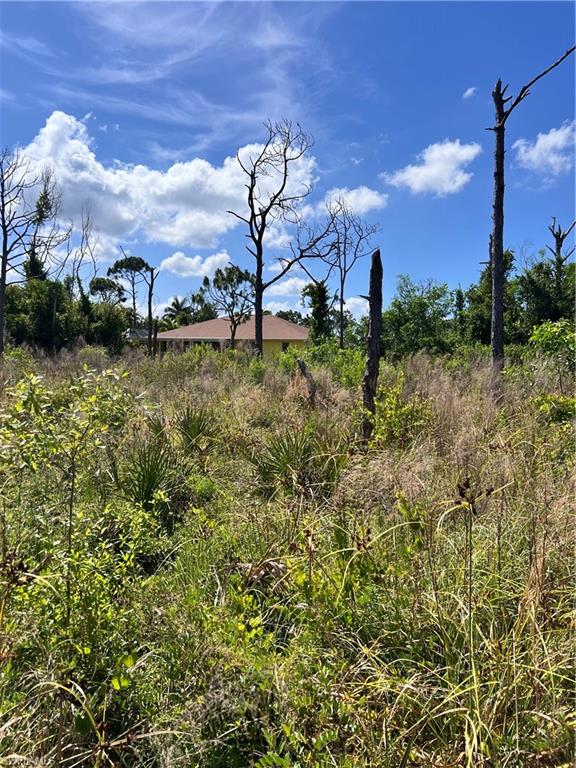 PINE ISLAND - Land