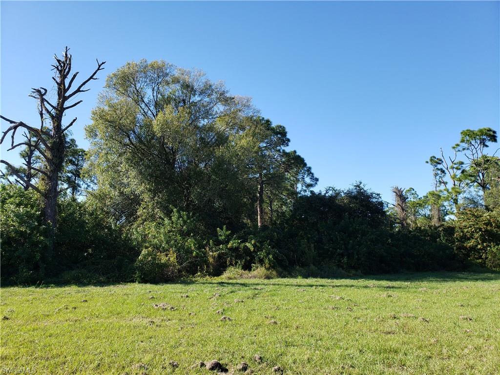 LEHIGH ACRES - Land