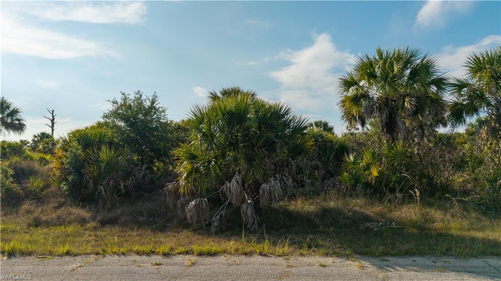 PORT CHARLOTTE - Land