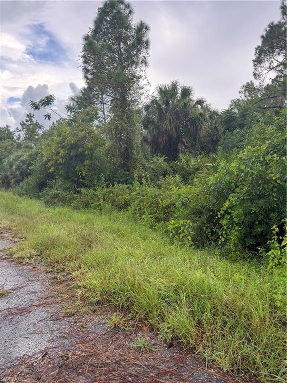 LEHIGH ACRES - Land