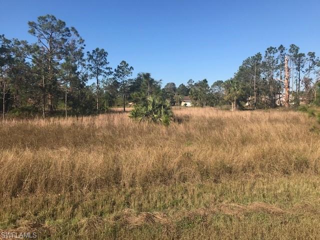 LEHIGH ACRES - Land