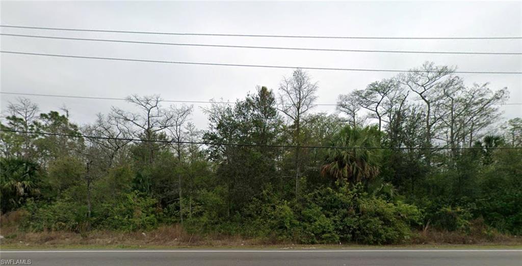 GOLDEN GATE ESTATES - Land