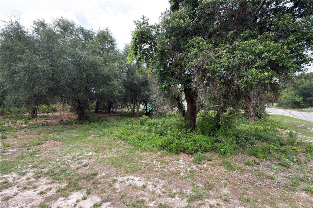 LEHIGH ACRES - Land