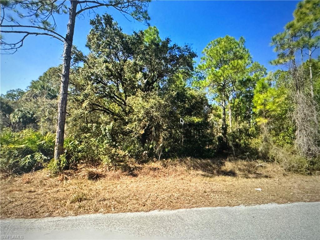 LEHIGH ACRES - Land