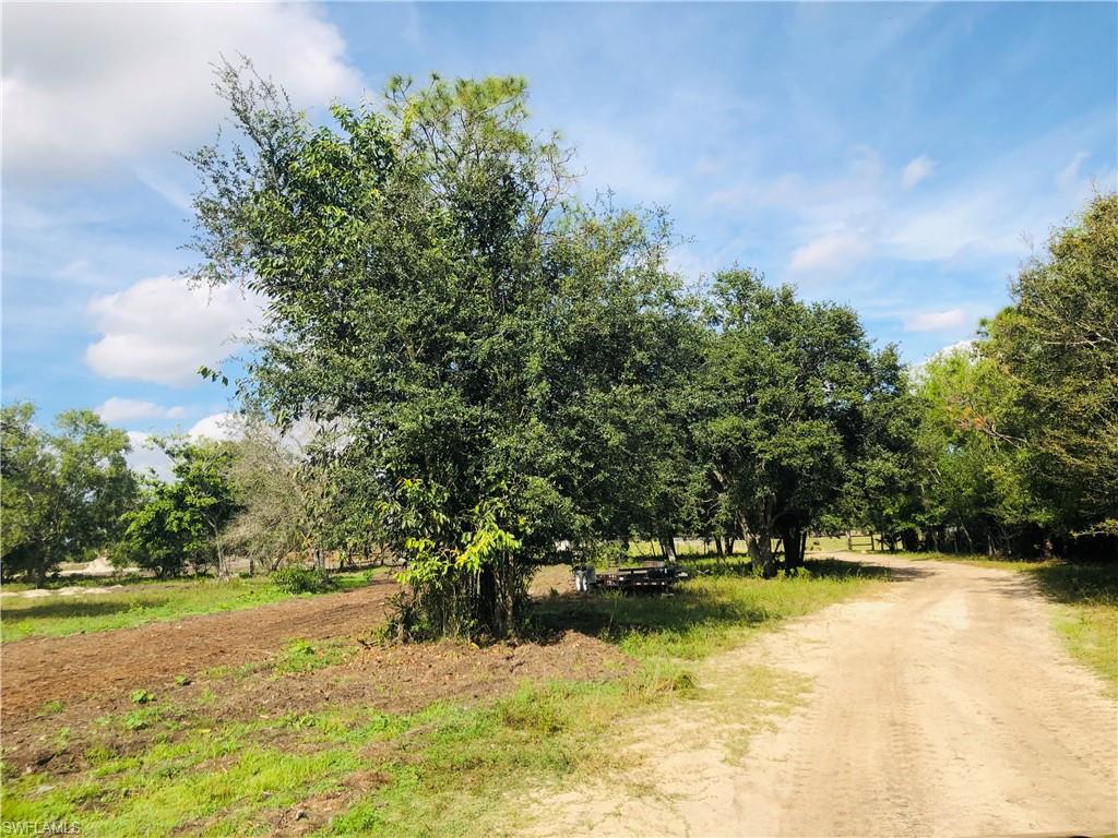 ACREAGE - Land