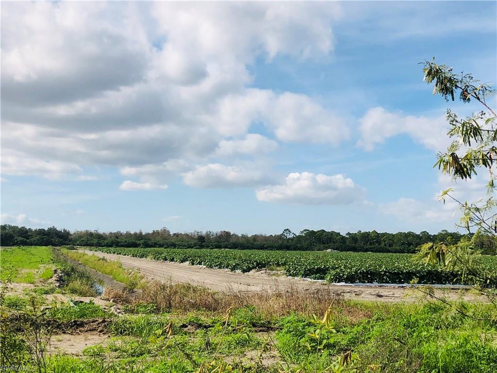 ACREAGE - Land
