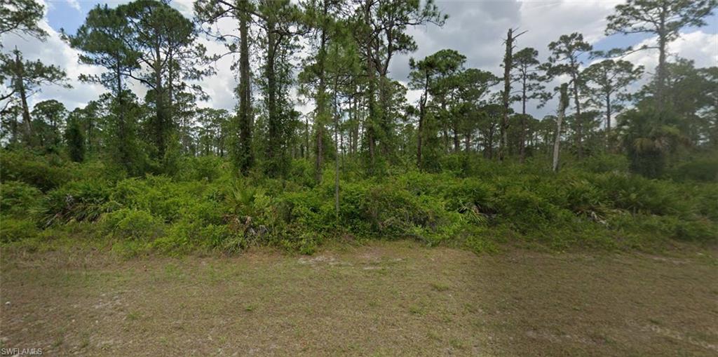 LEHIGH ACRES - Land