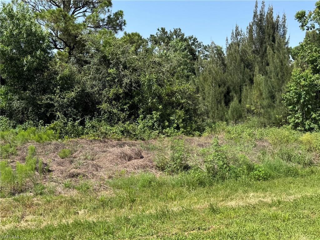 PUNTA GORDA - Land