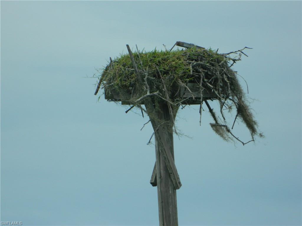 BLUE CRAB KEY - Residential