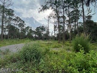 MONTURA RANCH ESTATES - Farm