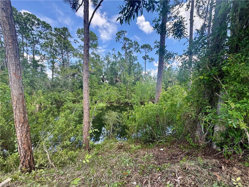 CAPE CORAL - Land