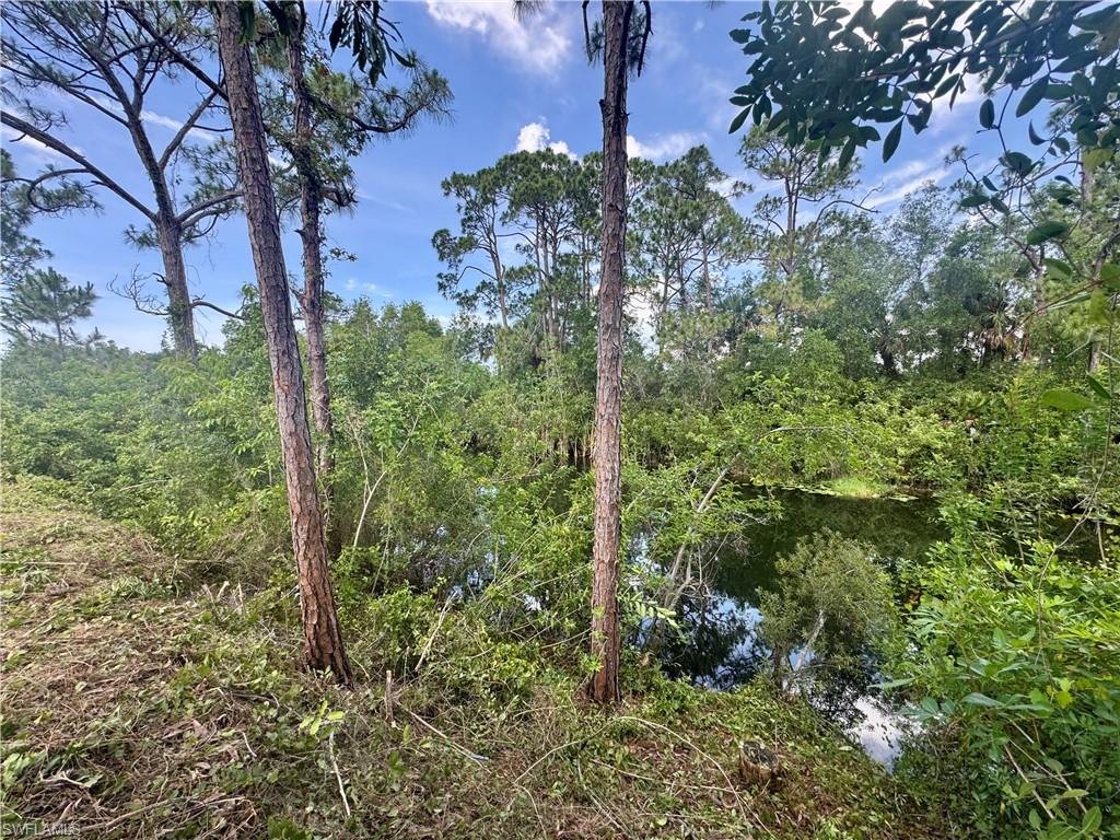CAPE CORAL - Land